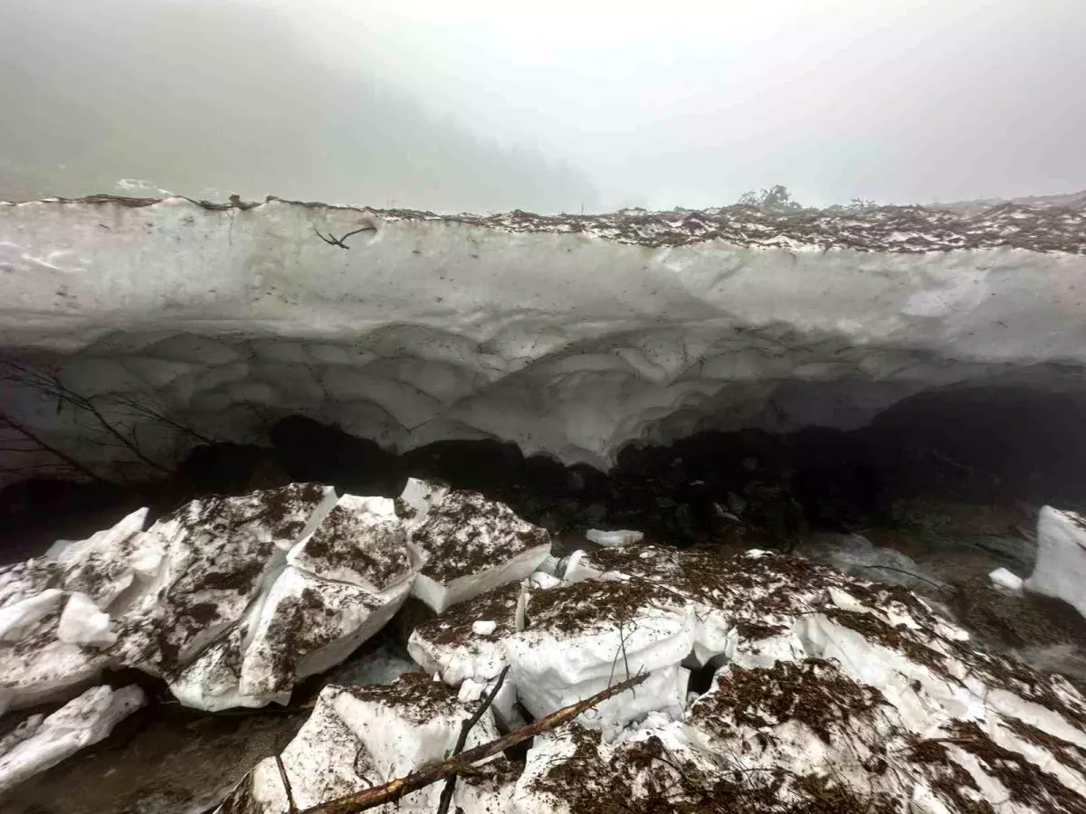 Rize'de Kar Kütlesinin Altında Kalan Kadın Hayatını Kaybetti