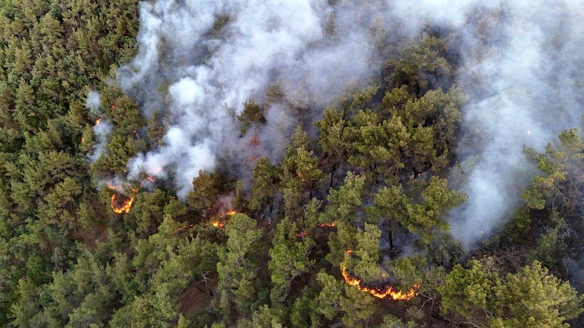 Karabük'te Orman Yangınına Müdahale Devam Ediyor