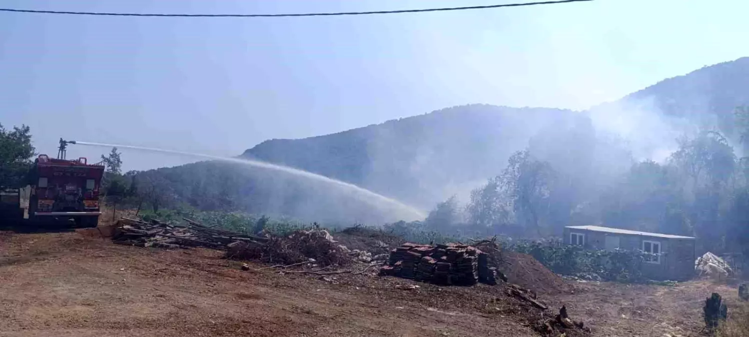 Kumluca'da Yangın, Ekiplerin Hızlı Müdahalesi ile Kontrol Altına Alındı