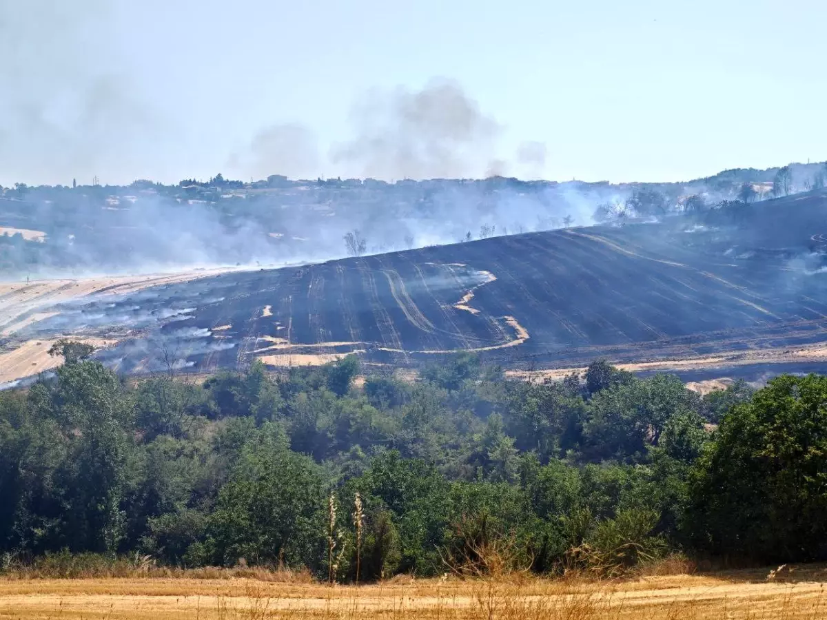 Tekirdağ'da Anız Yangını 200 Dönüm Alanı Kül Etti