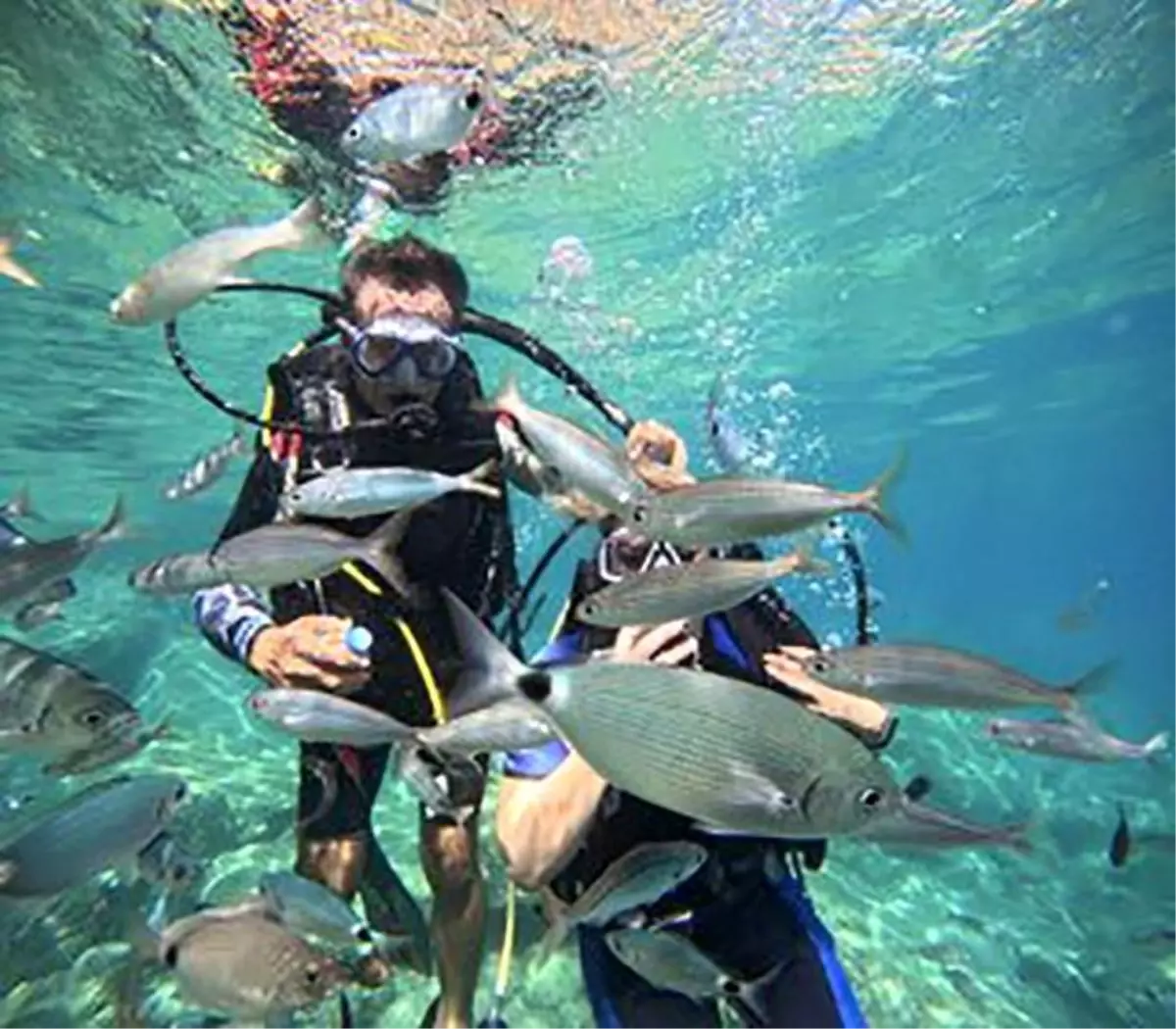 Marmaris'te Dalış Turizmi İlgi Görüyor