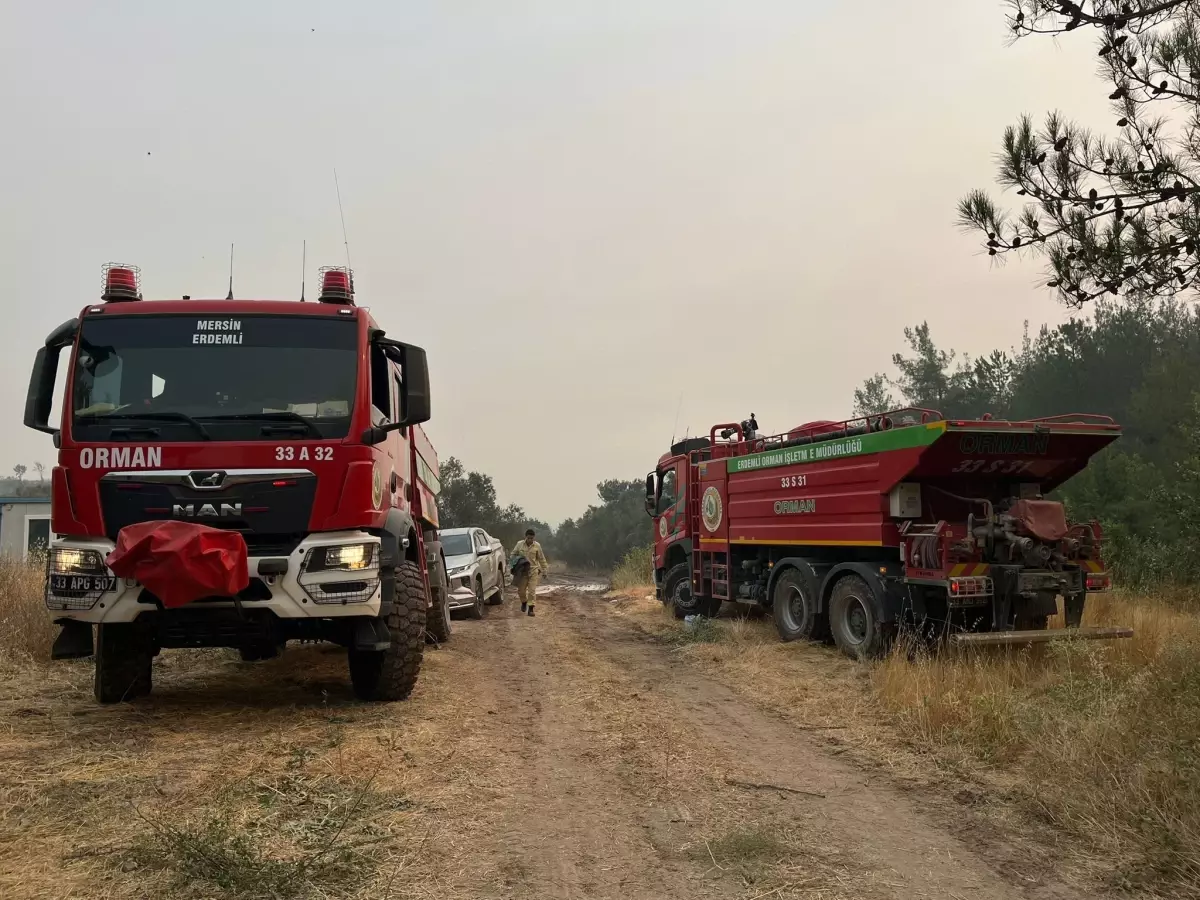 Geyve'de Orman Yangını 3. Gününde Kontrol Altına Alınmaya Çalışılıyor