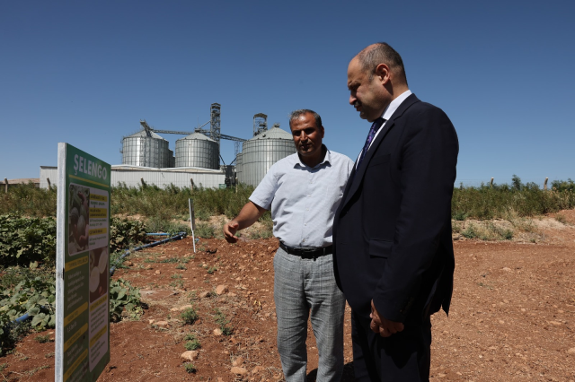Şanlıurfa Büyükşehir Belediyesi, Ata Tohumlarına Sahip Çıkıyor