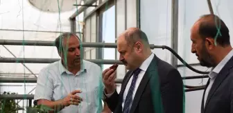 Şanlıurfa Büyükşehir Belediyesi, Ata Tohumlarına Sahip Çıkıyor
