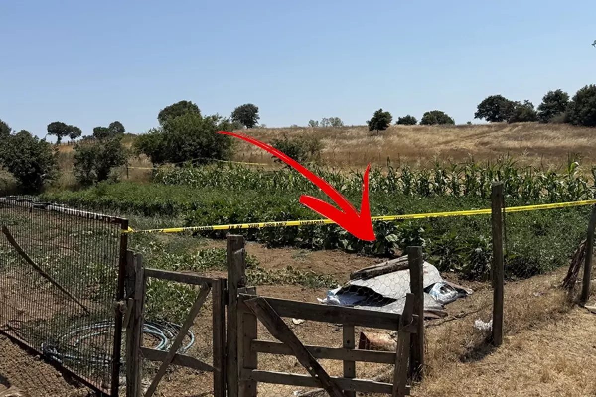 Sebze bahçesine giden kadının cansız bedeni bulundu