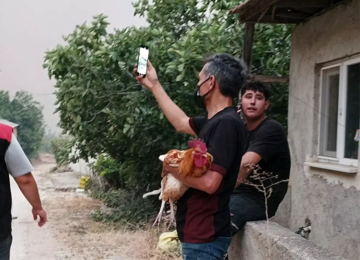Bilecik'te Orman Yangını: Selçik Köyü Boşaltıldı