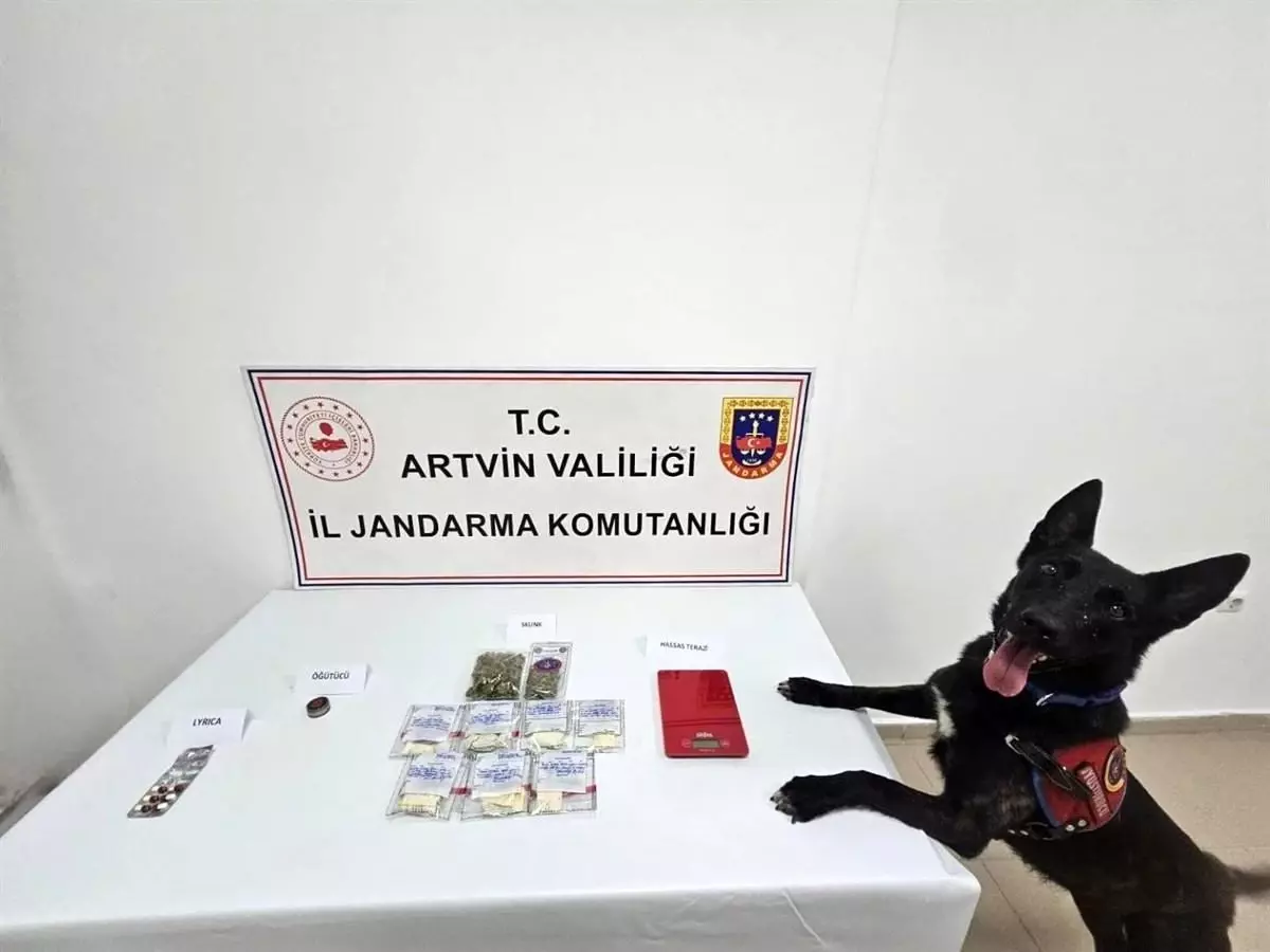 Artvin'de Uyuşturucu Operasyonu: 2 Tutuklama