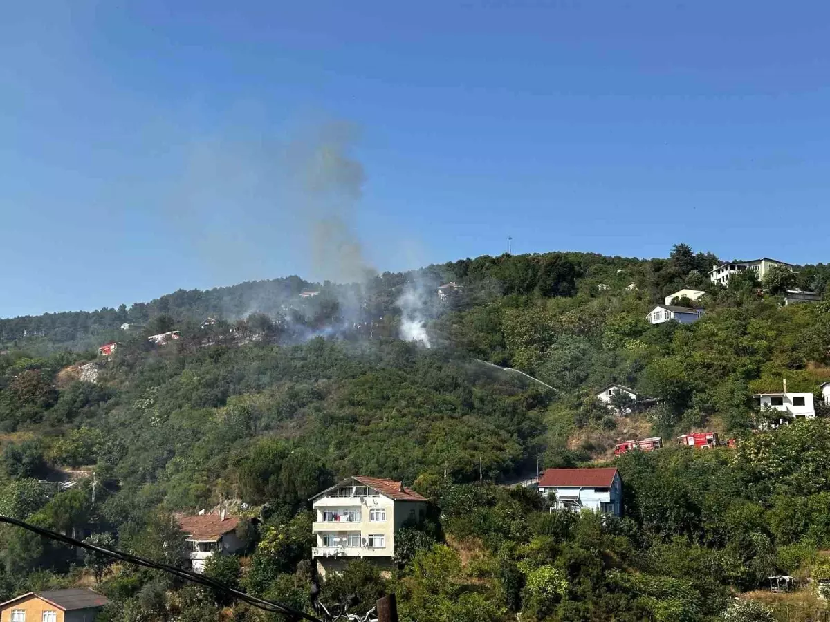 Beykoz'da Orman Yangını Kontrol Altına Alındı