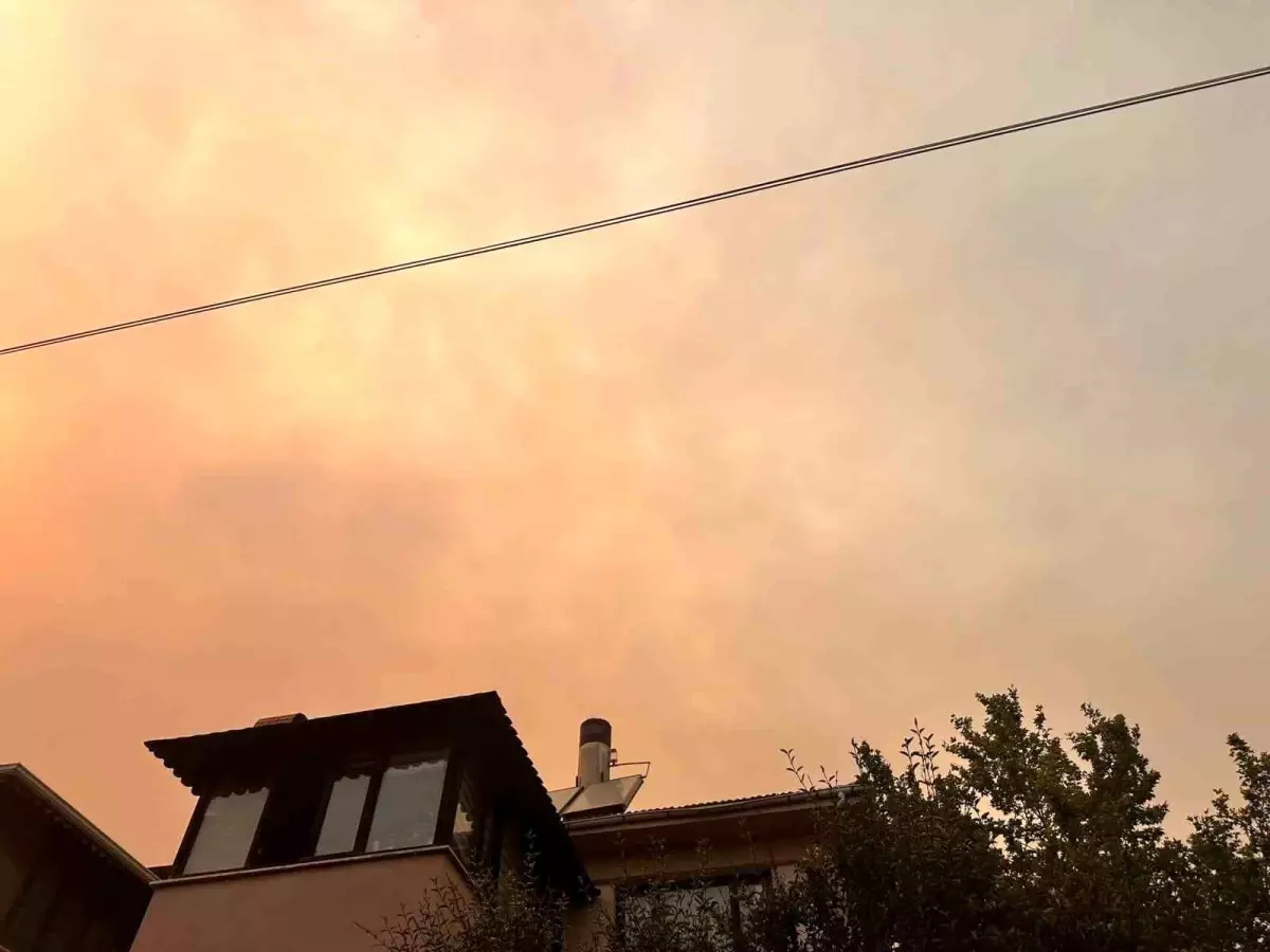 Bilecik'te Orman Yangını Kent Merkezine Kül Yağdırıyor