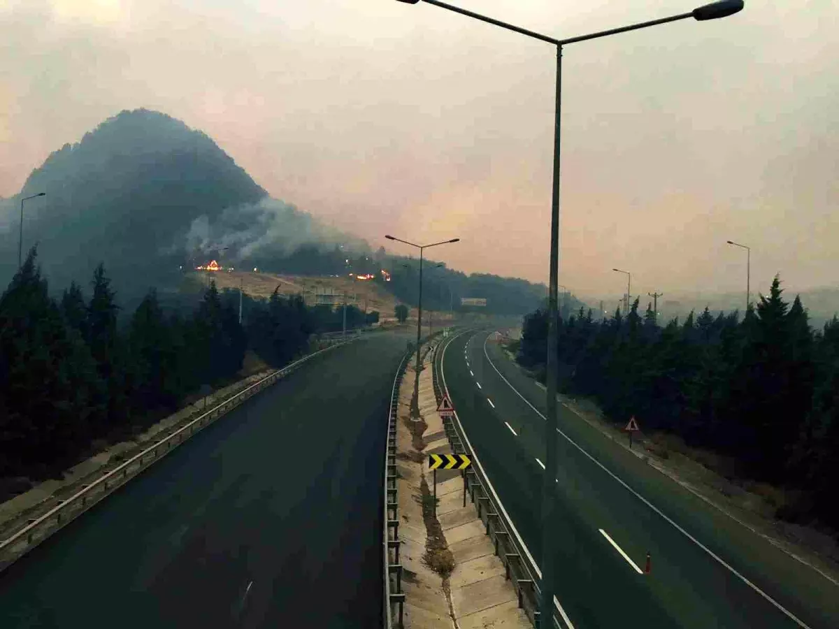 Bilecik'te Orman Yangını Nedeniyle D-650 Karayolu Kapandı