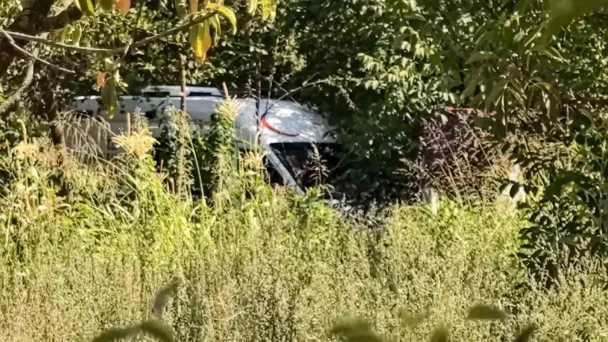 Bursa'da 29 Yaşındaki Genç Ağaçlık Alanda Ölü Bulundu