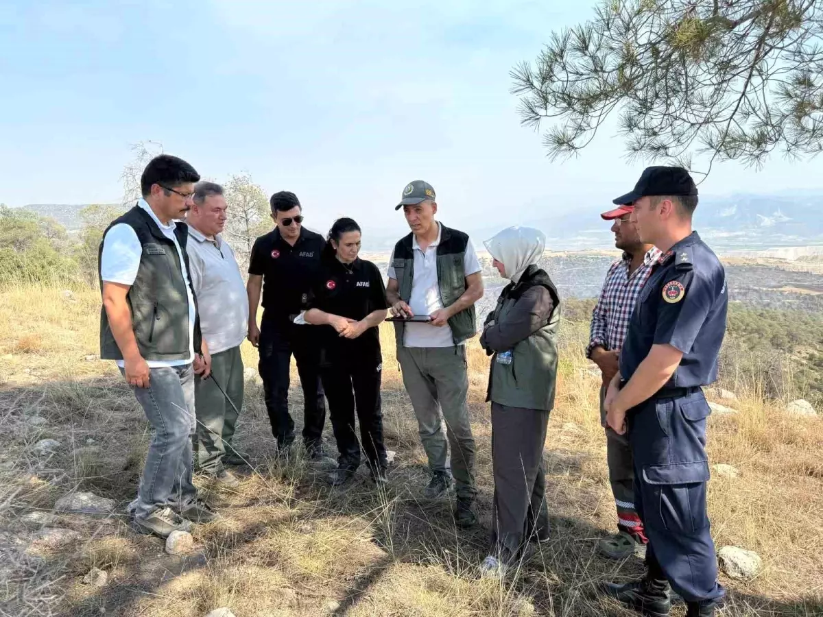 Denizli'nin Çal İlçesinde Orman Yangını Söndürüldü