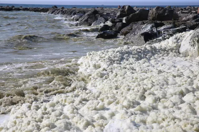 A foam-like layer formed along the coastline