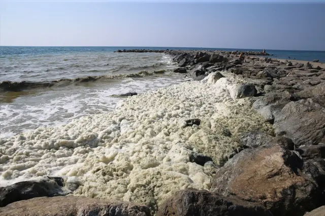 A foam-like layer formed along the coastline