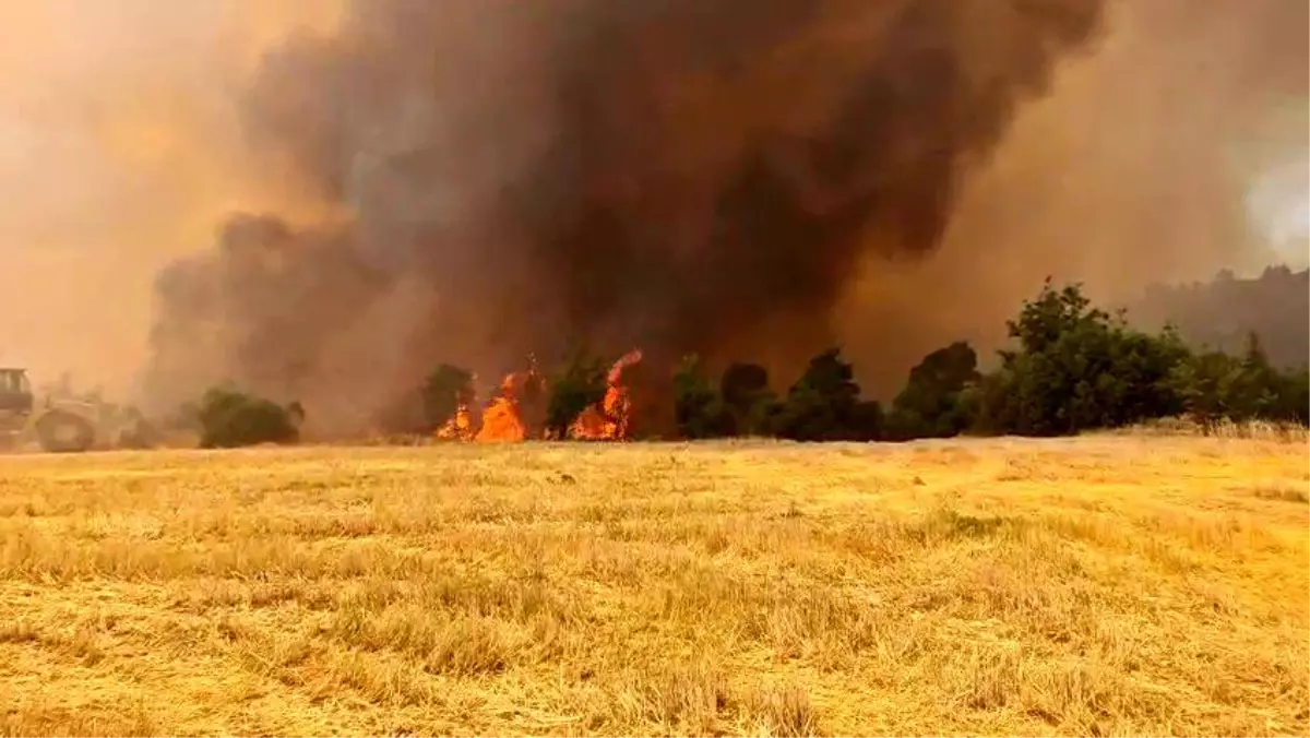 Denizli'de Orman Yangınına Havadan ve Karadan Müdahale