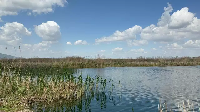 It has been scientifically proven that the water withdrawal in Eber Lake has caused Bolvadin to sink by 1 meter