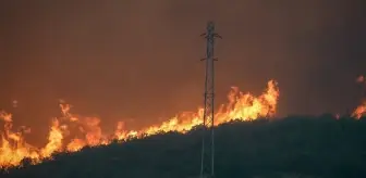 Eskişehir'de yangında alevlerin arasında kalan 5 orman işçisi ve 5 AKUT çalışanı şehit oldu