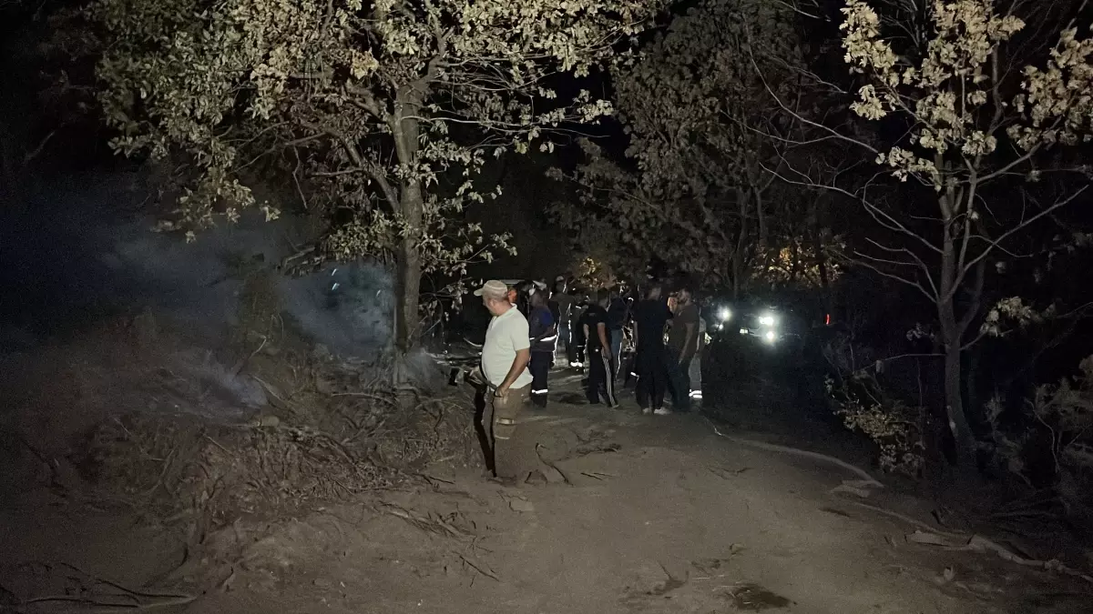 Kocaeli'de Orman Yangını Kontrol Altına Alındı