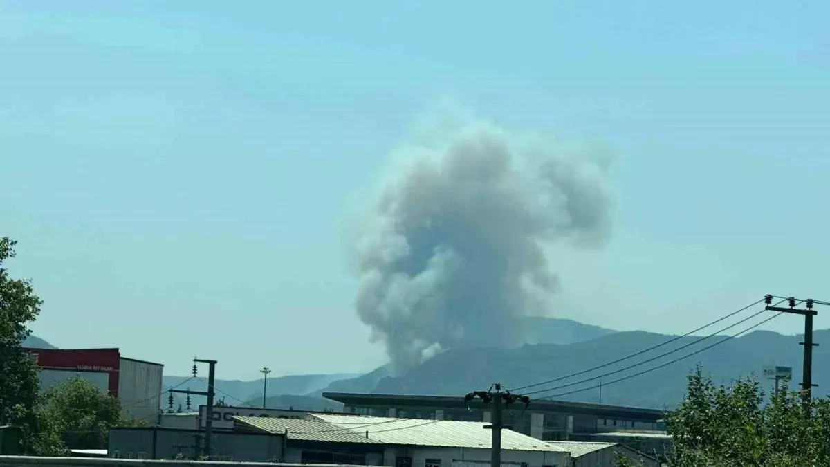 Sakarya'da Yeni Bir Orman Yangını Çıktı