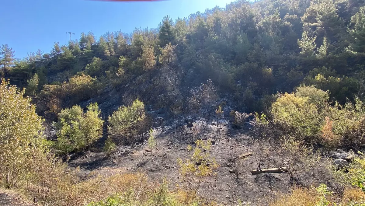 Karabük'te Orman Yangını: 55 Hektar Zarar Gördü