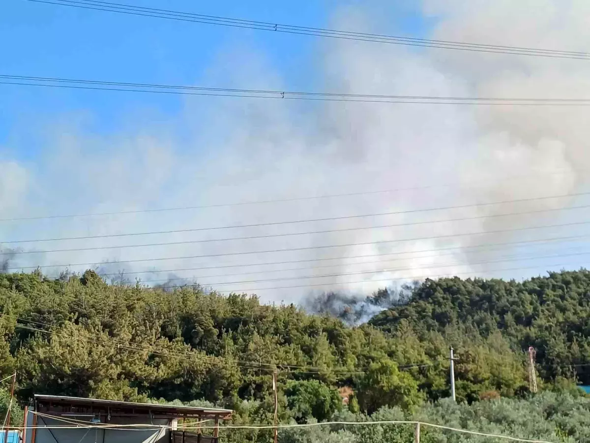 Manisa'da Ormanlık Alanda Yangın Çıktı