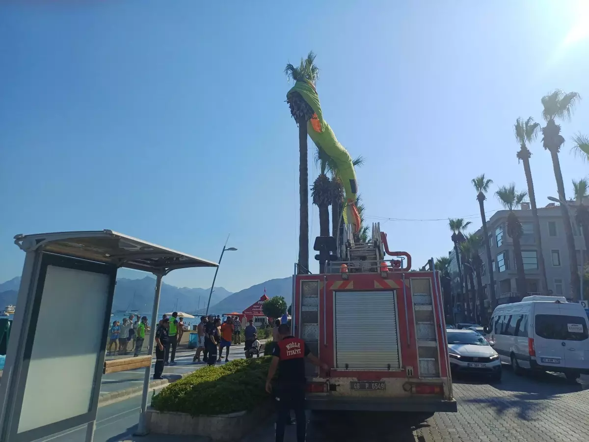 Marmaris'te Paraşütle İniş Sırasında Palmiye Ağaçlarına Takıldılar