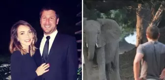 Milyoner safari patronu, 6 tonluk filin saldırısına uğrayarak feci şekilde can verdi