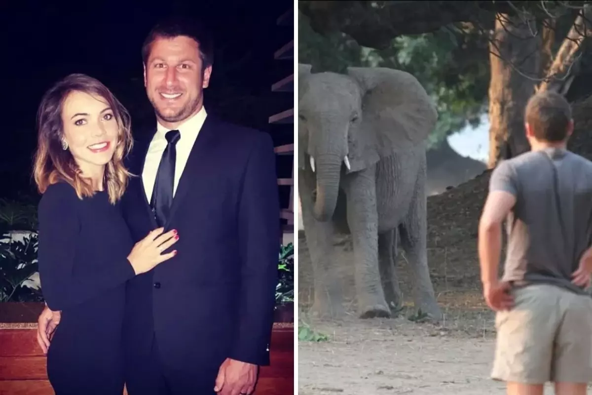 Milyoner safari patronu, 6 tonluk filin saldırısına uğrayarak feci şekilde can verdi