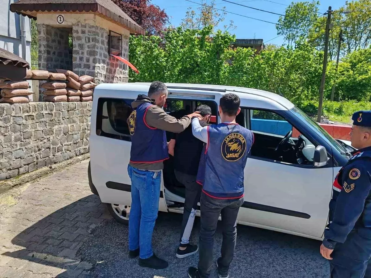 Ordu'da Jandarma Ekipleri Son Bir Haftada Şaşırtan Başarılar Elde Etti