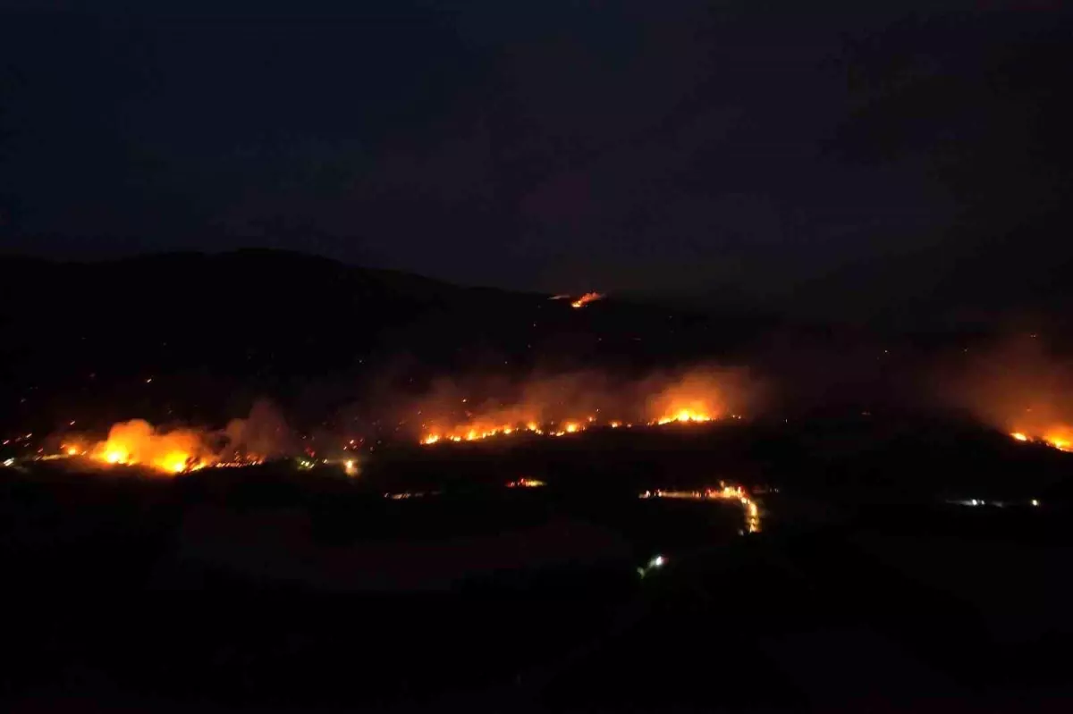 Sakarya-Bilecik Sınırında Orman Yangını Yeniden Alevlendi