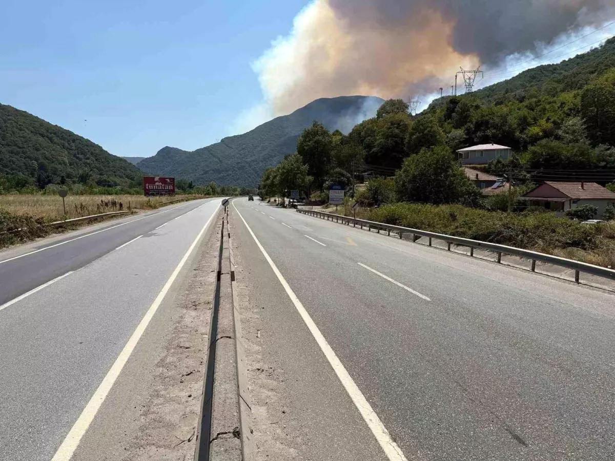 Sakarya'da Orman Yangını: D-650 Kara Yolu Trafiğe Kapatıldı