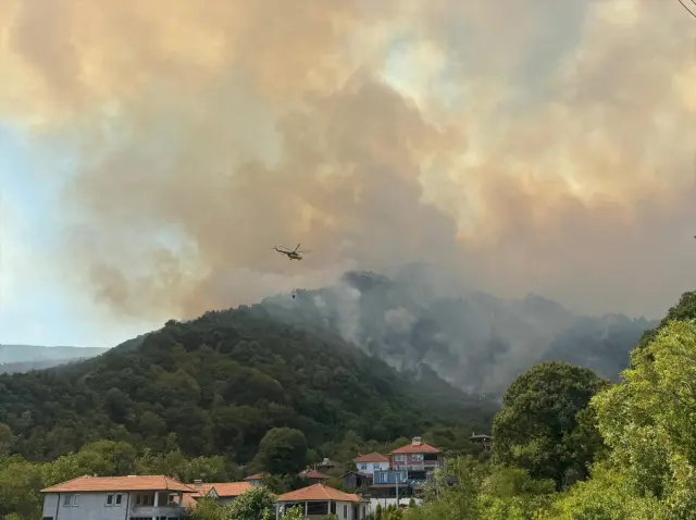 New forest fire in Sakarya! The highway has been closed to traffic