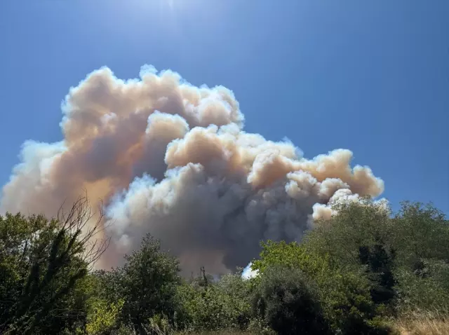 New forest fire in Sakarya! The highway has been closed to traffic