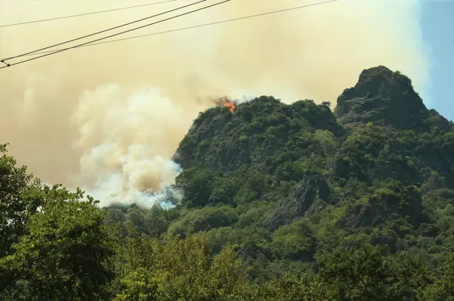 New forest fire in Sakarya! The highway has been closed to traffic