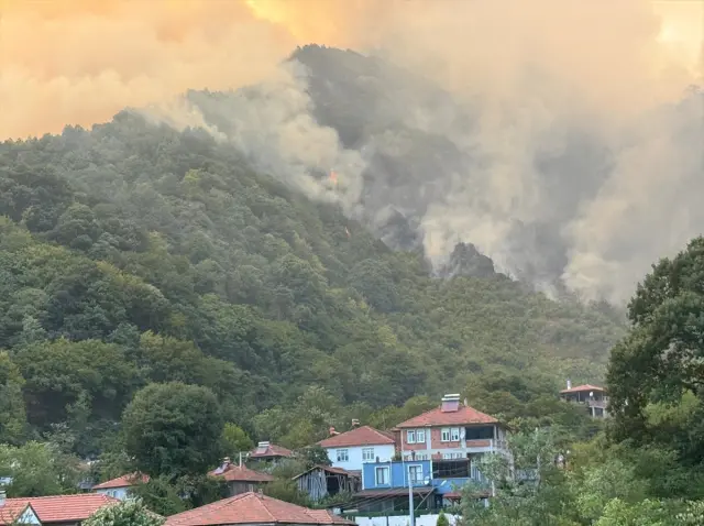 New forest fire in Sakarya! The highway has been closed to traffic