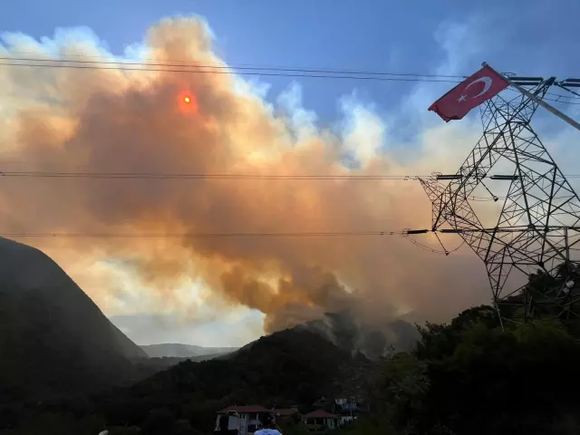 New forest fire in Sakarya! The highway has been closed to traffic