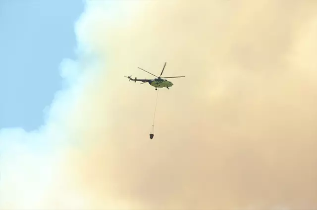 New forest fire in Sakarya! The highway has been closed to traffic