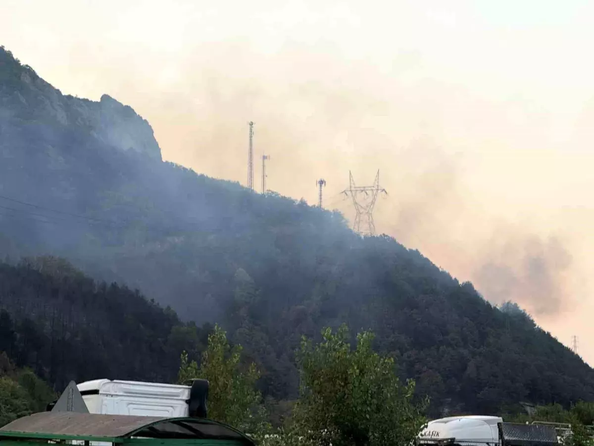 Sakarya'da Orman Yangını Kısmen Kontrol Altına Alındı