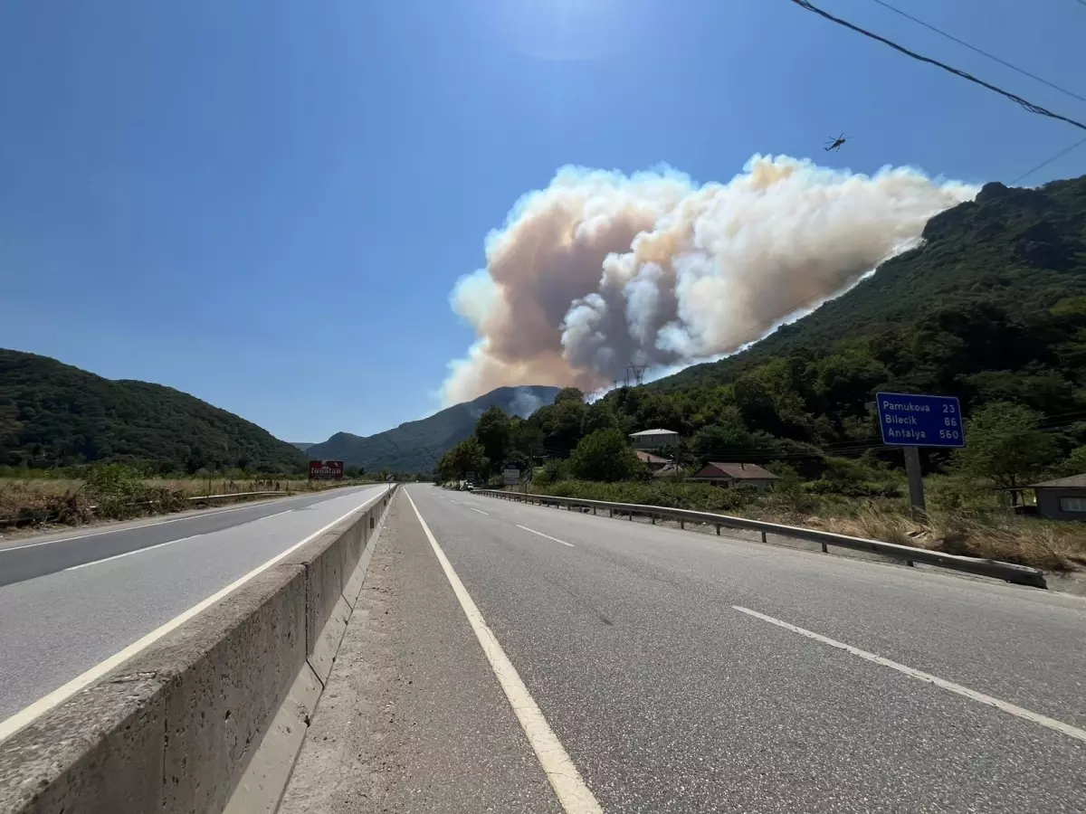 Sakarya Geyve'de yeni orman yangını (3)