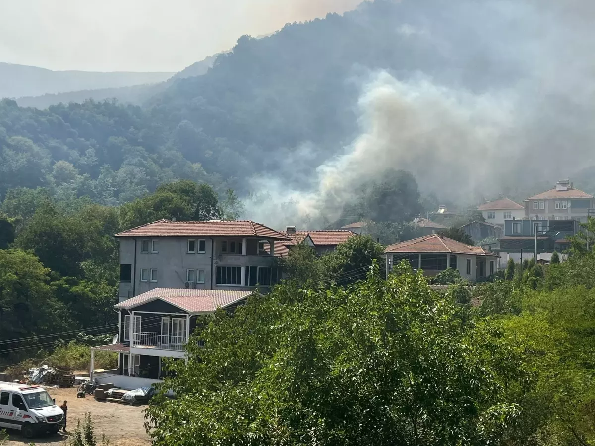 Geyve'de Orman Yangınına Hızlı Müdahale