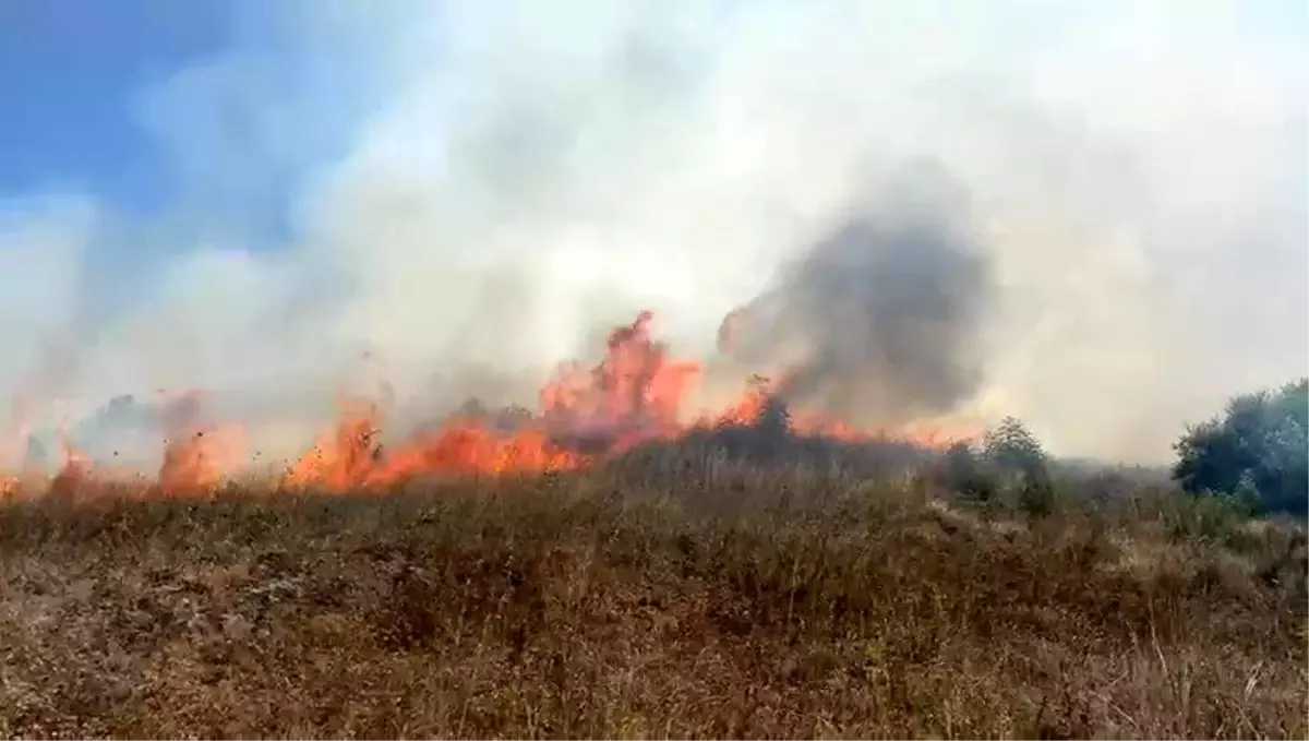 Sakarya'da Makilik Alanda Yangın: Ekipler Müdahale Ediyor