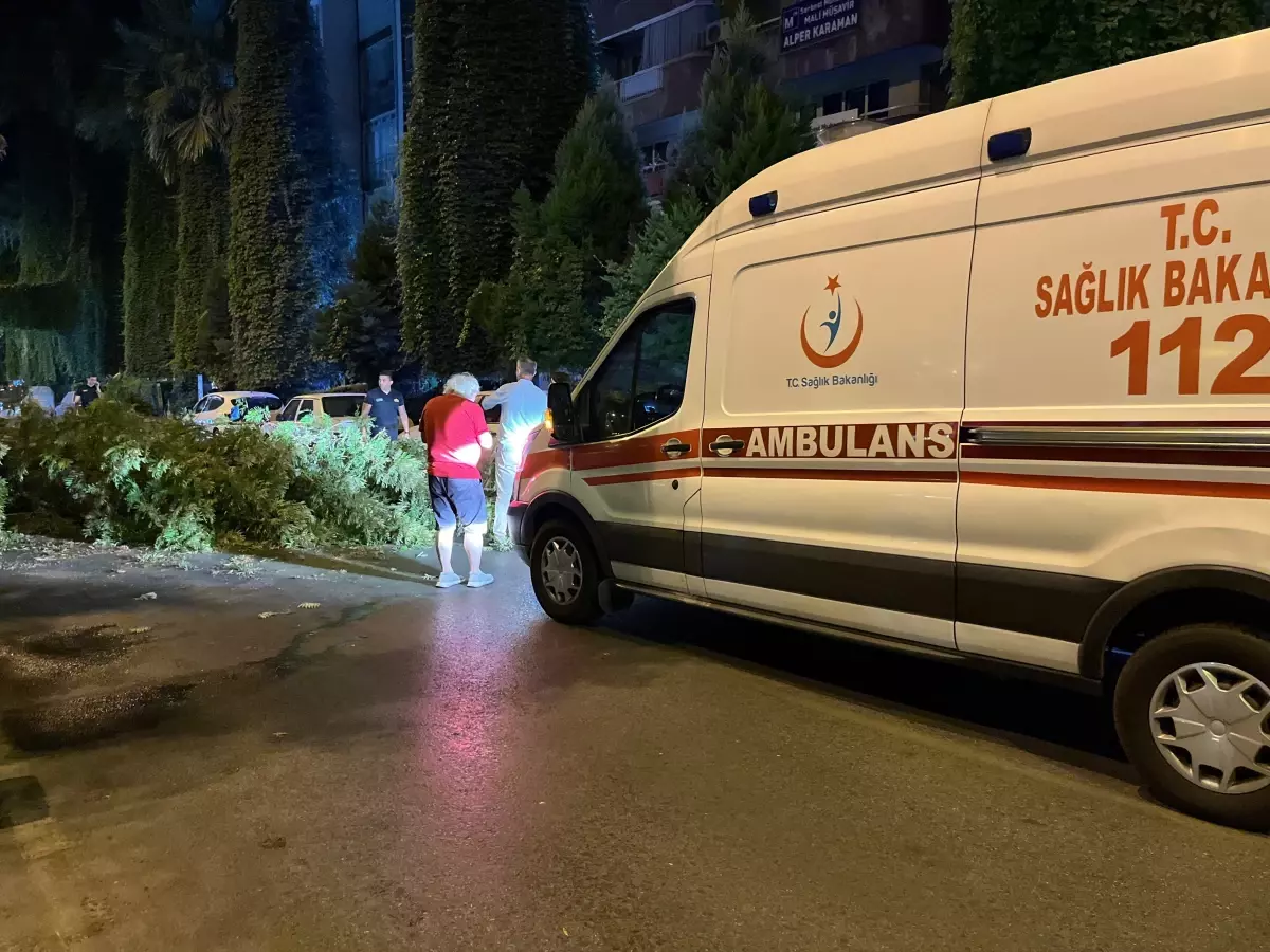 Motosiklet Sürücüsüne Ağaç Dalları Düştü, Yaralandı