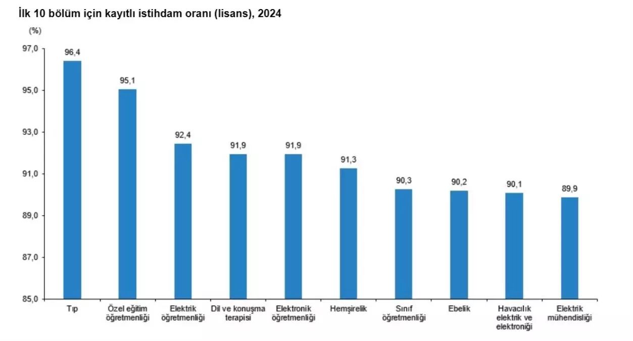 TÜİK, Yükseköğretim Mezunlarının İstihdam Oranlarını Açıkladı