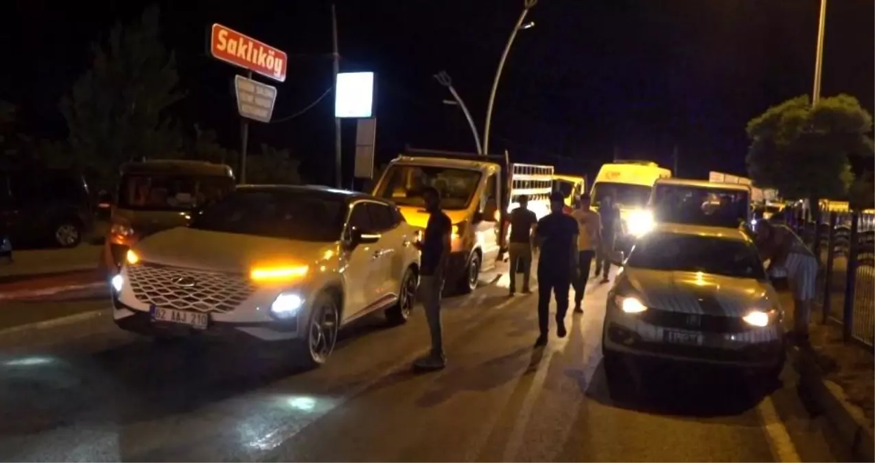 Tunceli'de Otomobil Çarpan 70 Yaşındaki Adam Hayatını Kaybetti