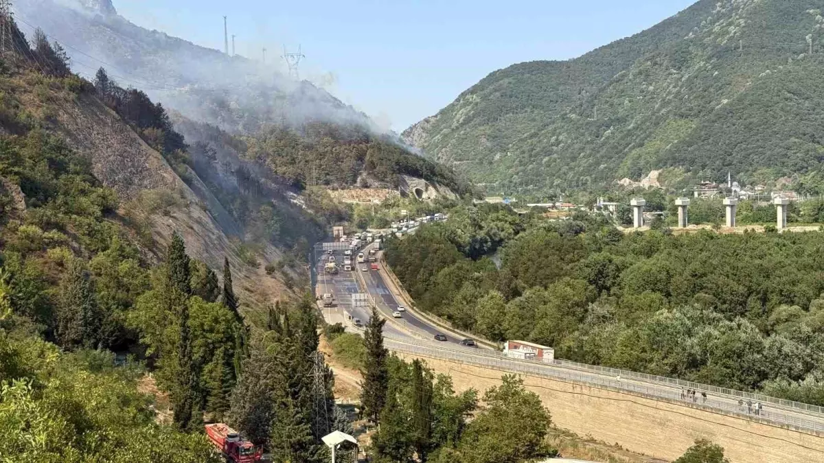 Sakarya'da Orman Yangını Kontrol Altına Alındı, D-650 Yeniden Trafiğe Açıldı