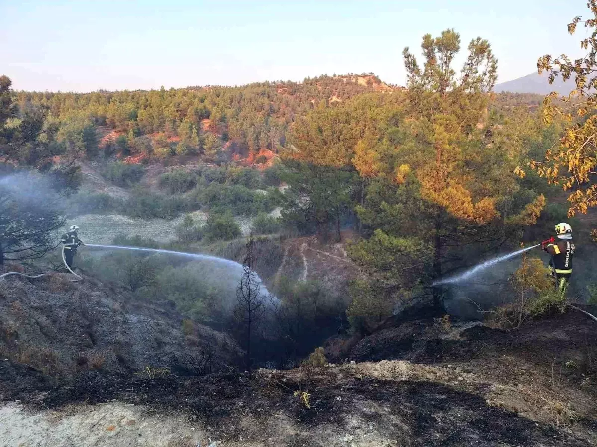 Denizli'de Araç Yangını Orman yangınına Sebep Oldu