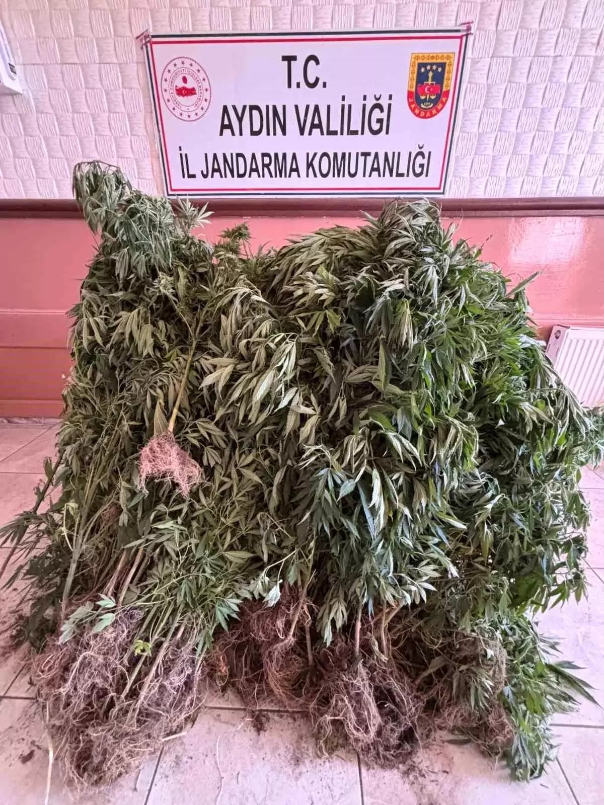 Aydın'da Uyuşturucu Operasyonu: 15 Şüpheli Yakalandı