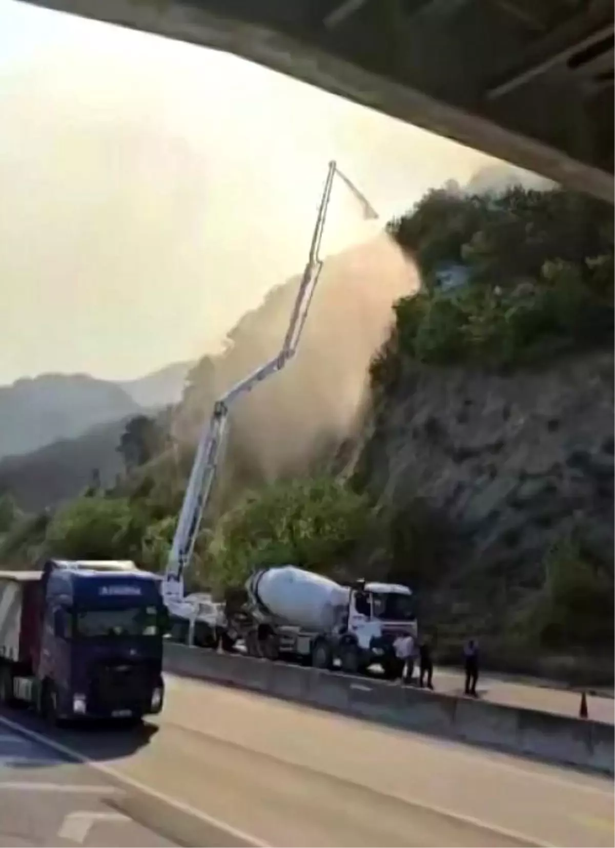 Sakarya'da Orman Yangınına Sıradışı Müdahale