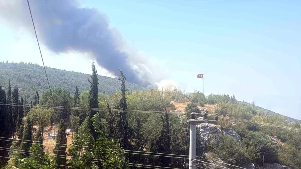 Bilecik'te Orman Yangını Tavuk Çiftliklerine Yaklaşıyor