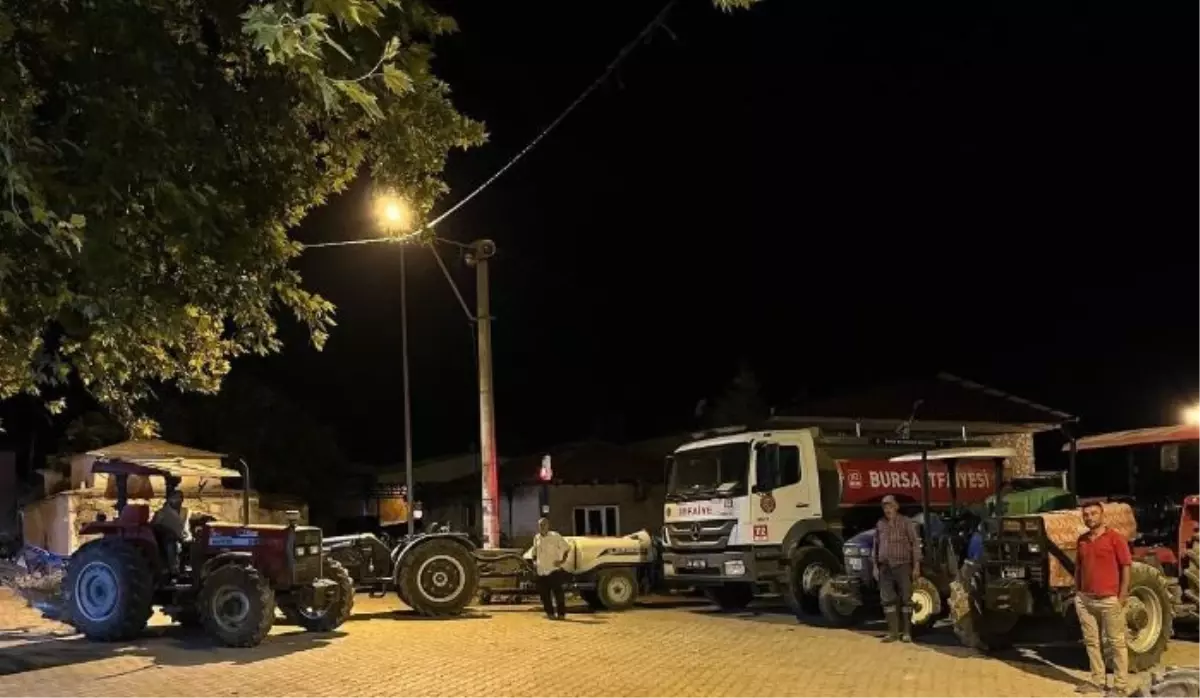 Bursa'nın Yenişehir İlçesinde Orman Yangını Alarmı